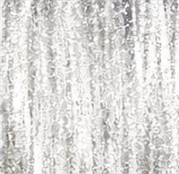 1 silver sparkle