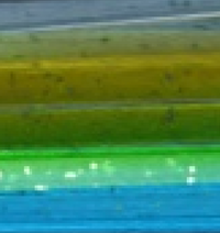 15 white/blue/yellow
